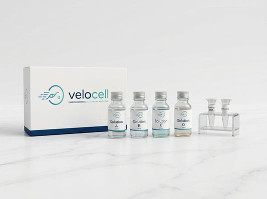 Trichoderma Transformation  Kit